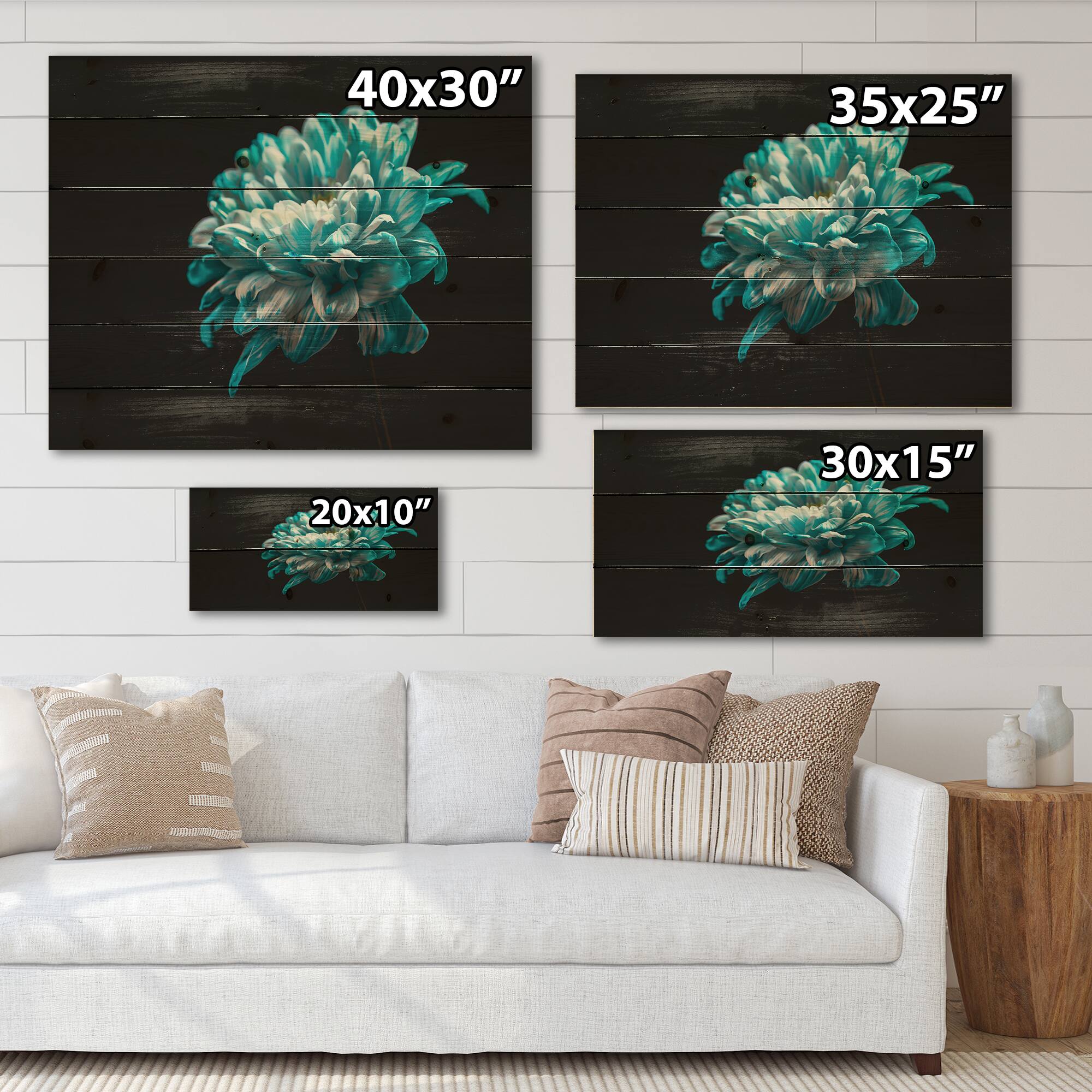 Designart - Close Up of Pure Blue and White Daisy Flower II